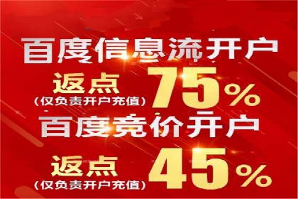 百度推广服务费案例：实现精准营销策略